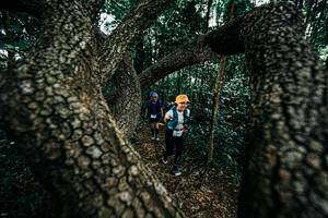 BIB: 
                            <button type="button" onclick="openModal(25392529)" class="btn btn-primary btn-sm float-right btn-popup" data-toggle="modal" data-target=".modal-high-quality">
                        <i class="fas fa-shopping-cart"></i> Add to Cart
                    </button>
                                            <button type="button" onclick="isThisMe(25392529, true)" class="btn btn-success btn-sm float-right btn-popup btn-isme hidden" data-toggle="tooltip" data-placement="bottom" title="นี่คือรูปของคุณใช่ไหม คลิกที่นี่เพื่อเอาเข้าอัลบั้ม">
                        <i class="fas fa-plus"></i> Add to album
                    </button>
                    <button type="button" onclick="isThisMe(25392529, false)" class="btn btn-warning btn-sm float-right btn-popup btn-isnotme hidden">
                        <i class="fas fa-ban"></i> Remove from album
                    </button>